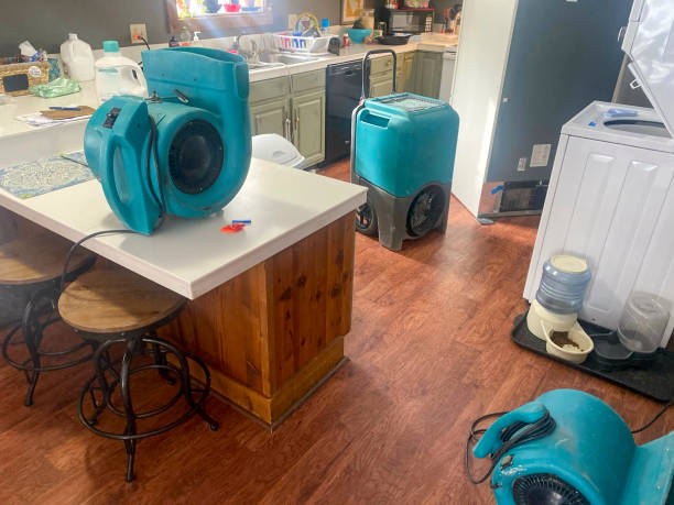 Best 24-hour water damage restoration  in Secy, AR