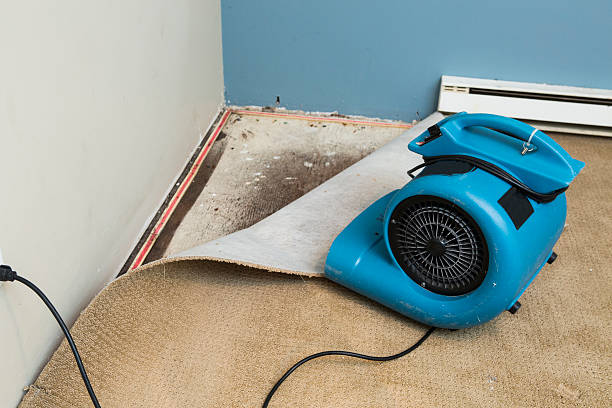 Best Fire Damage Restoration  in Secy, AR